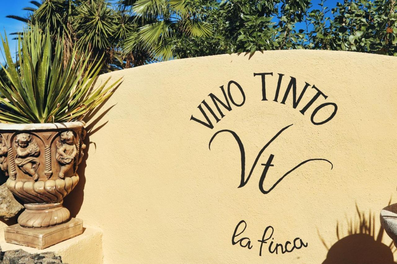 Finca Vino Tinto 1 Ікод-де-лос-Вінос Екстер'єр фото